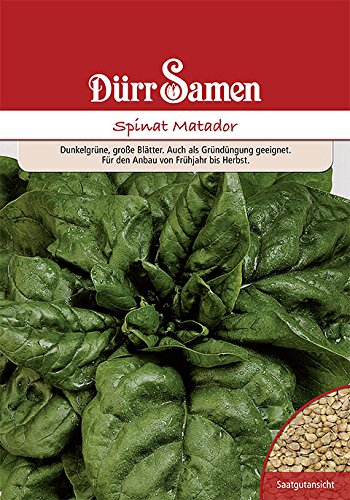 Spinat Samen 1 Kg Reicht für 100 m² Gründüngung Gründünger Winter Gemüse Gemüsesamen Dürr Samen Spinat Samen 1 Kg Reicht für 100 m² Gründüngung Gründünger Winter Gemüse Gemüsesamen Dürr Samen von Dürr-Samen