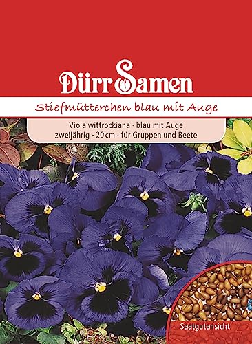 Stiefmütterchen Samen Blau mit Auge Stiefmütterchensamen Veilchen ca 200 Korn Saatgut Blumensamen Garten Hochbeet Balkonkasten Kübel Dürr Samen von Dürr-Samen