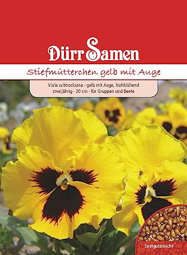 Stiefmütterchen Samen Gelb mit Auge Stiefmütterchensamen Veilchen ca 200 Korn Saatgut Blumensamen Garten Hochbeet Balkonkasten Kübel Dürr Samen von Dürr-Samen