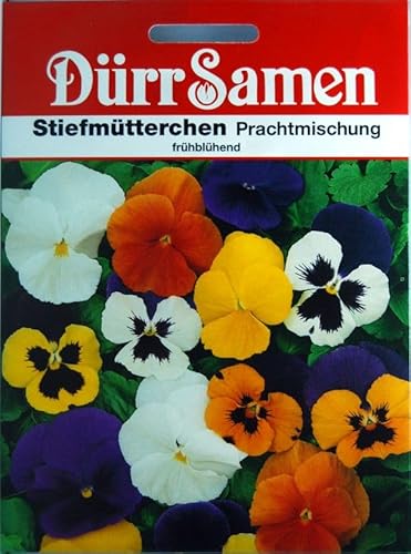 Stiefmütterchen Samen Prachtmischung Stiefmütterchensamen Veilchen ca 120 Korn Saatgut Blumensamen Garten Hochbeet Balkonkasten Kübel Dürr Samen von Dürr-Samen