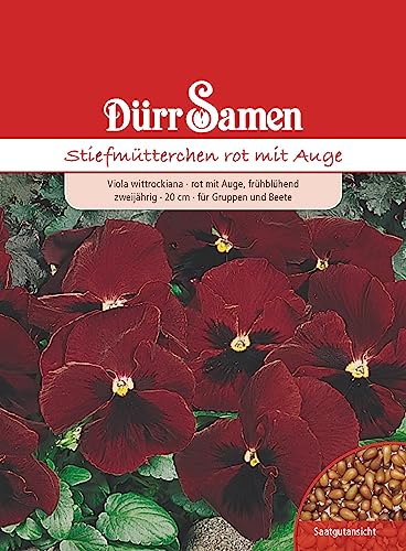 Stiefmütterchen Samen Rot mit Auge Stiefmütterchensamen Veilchen ca 200 Korn Saatgut Blumensamen Garten Hochbeet Balkonkasten Kübel Dürr Samen von Dürr-Samen