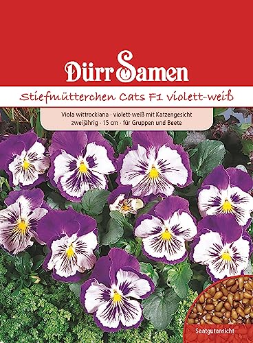 Stiefmütterchen Samen Violett Weiß Cats F1 Stiefmütterchensamen Veilchen ca 25 Korn Saatgut Blumensamen Garten Hochbeet Balkonkasten Kübel Dürr Samen von Dürr-Samen