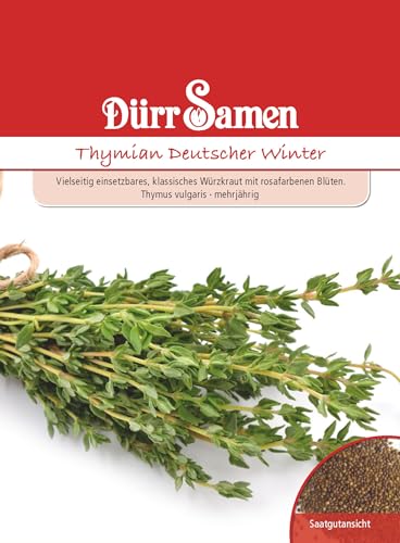 Thymian Samen Deutscher Winter Thymiansamen ca 400 Korn Küchenkräuter Kräutersamen Saatgut Balkon Garten Hochbeet Kübel Dürr Samen Thymian Samen Deutscher Winter Thymiansamen ca 400 Korn Küchenkräuter Kräutersamen Saatgut Balkon Garten Hochbeet Kübel Dürr Samen von Dürr-Samen