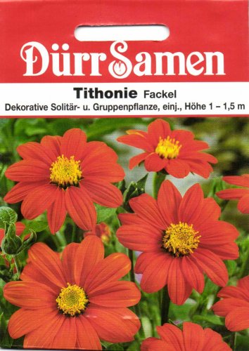 Mexikanische Sonnenblume Samen Tithonie Fackel Sonnenblumensamen Bienenfreundlich Orangefarbig Einjährig ca 35 Korn Schaupflanze Saatgut Garten Dürr Samen von Dürr-Samen