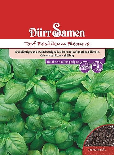 Topf Basilikum Samen Eleonora Basilikumsamen ca 150 Korn Küchenkräuter Kräutersamen Saatgut Balkon Garten Hochbeet Kübel Dürr Samen von Dürr-Samen