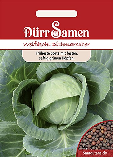 Weißkohl Dithmarscher von Dürr-Samen