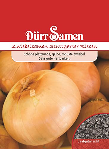 Zwiebel Samen Stuttgarter Riesen Zwiebelsamen ca 600 Korn Gemüse Gemüsesamenwürzig milden Geschmack Dürr Samen von Dürr-Samen