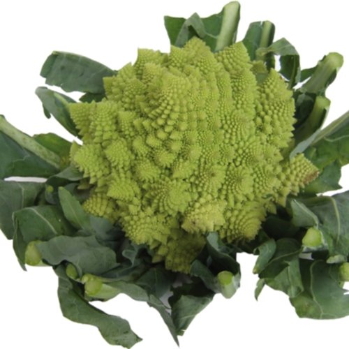 Brokkoli Romanesco Samen von Dürr