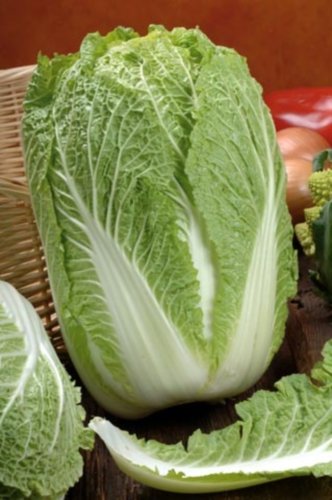 Chinakohl Parkin Samen von Dürr