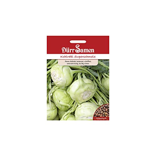 Kohlrabi Superschmelz Samen Kohlrabi Superschmelz Samen von Dürr-Samen