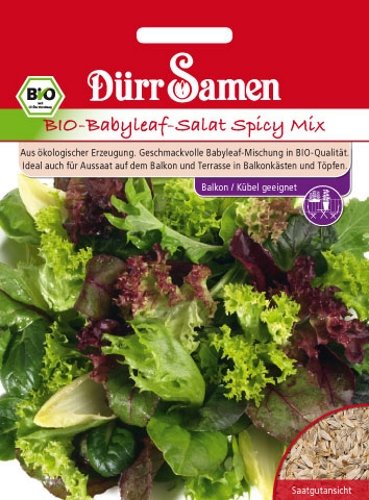 Pflücksalat BIO-Babyleaf Spicy Mix Samen von Dürr