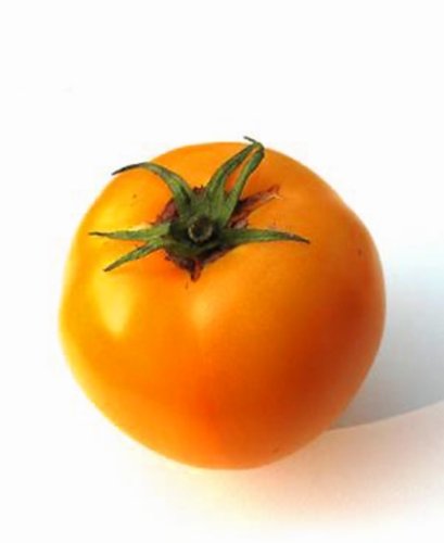 Tomaten Gelbe Tomate Goldene Königin Samen Tomaten Gelbe Tomate Goldene Königin Samen von Dürr