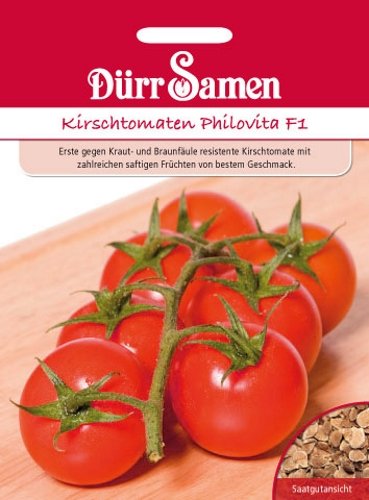 Tomaten Kirschtomate Philovita Samen von Dürr