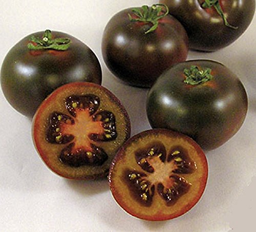 Tomaten Schwarze Kirschtomate Bombonera Samen von Dürr