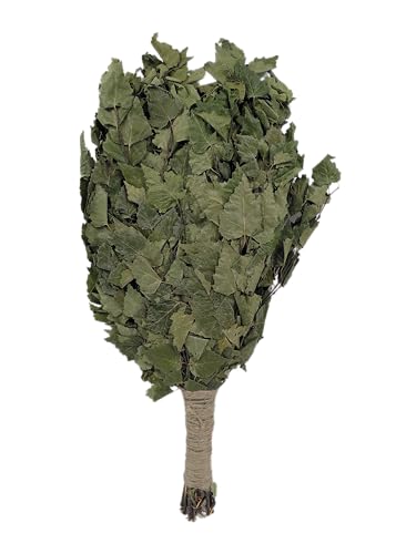 Dufte Momente | 1 x Birken Reisig, Wenik, Quast für Sauna, Banja | aus Ernte 2024 | einzeln verpackt und luftgetrocknet | mehrfach verwendbar ¬| Länge ca. 50-60cm, Gewicht ca. 190g Dufte Momente | 1 x Birken Reisig, Wenik, Quast für Sauna, Banja | aus Ernte 2024 | einzeln verpackt und luftgetrocknet | mehrfach verwendbar ¬| Länge ca. 50-60cm, Gewicht ca. 190g von Dufte Momente