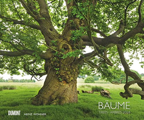 Bäume 2024 – Wandkalender 60x50 cm – Spiralbindung von Dumont Kalenderverlag