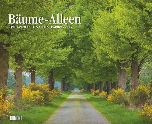 DUMONT - Bäume – Alleen 2025 Wandkalender 52x42,5cm, Kalender mit prachtvollen Bäumen angeordnet in Alleen, Großformat mit Spiralbindung von DUMONT