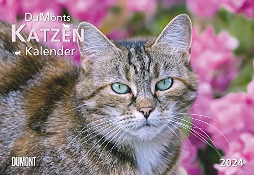 DUMONT Dumonts Katzenkalender 2024, im Format 42 x 29 cm, Monatskalender mit Schulferienterminen, Tierkalender mit Katzen-Kurzgeschichten von Dumont Kalenderverlag