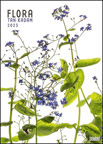 Flora 2023 – Blumen-Kalender von DUMONT– Foto-Kunst von Tan Kadam – Poster-Format 50 x 70 cm von DUMONT