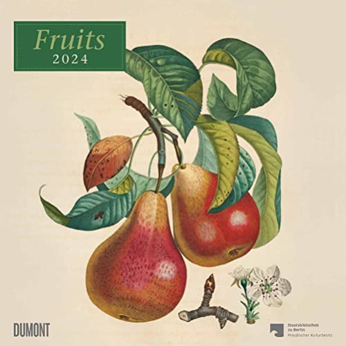 Kal. 2024 Fruits von Dumont Kalenderverlag