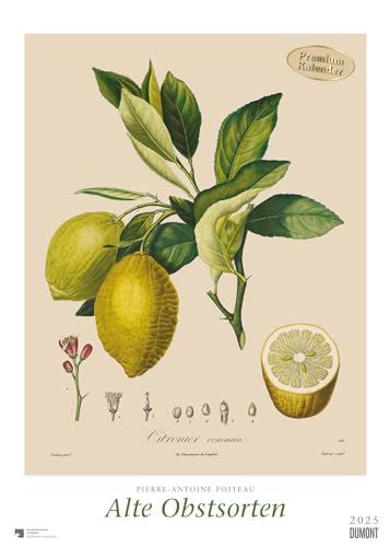DUMONT - Poiteau: Alte Obstsorten 2025 Wandkalender, 50x70cm, Posterkalender mit Abbildungen von alten Obstsorten, aus der Rara-Sammlung der Staatsbibliothek zu Berlin von DUMONT