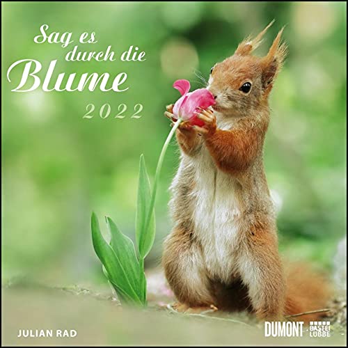 Sag es durch die Blume 2022 – Hamster, Eichhörnchen, Zwiesel in Nahaufnahme – Wandkalender mit Spiralbindung – DUMONT Quadratformat 24 x 24 cm: Wandkalender - DUMONT Quadratformat von DUMONT