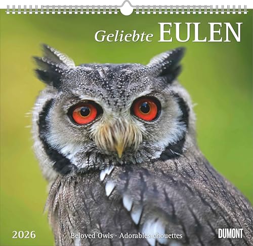 DUMONT - Geliebte Eulen 2026 – Wandkalender 38 x 36 cm, Tierkalender mit 12 Eulenmotiven, für Natur- und Tierliebhaber: Beloved Owls - Adorables chouettes DUMONT - Geliebte Eulen 2026 – Wandkalender 38 x 36 cm, Tierkalender mit 12 Eulenmotiven, für Natur- und Tierliebhaber: Beloved Owls - Adorables chouettes von DUMONT