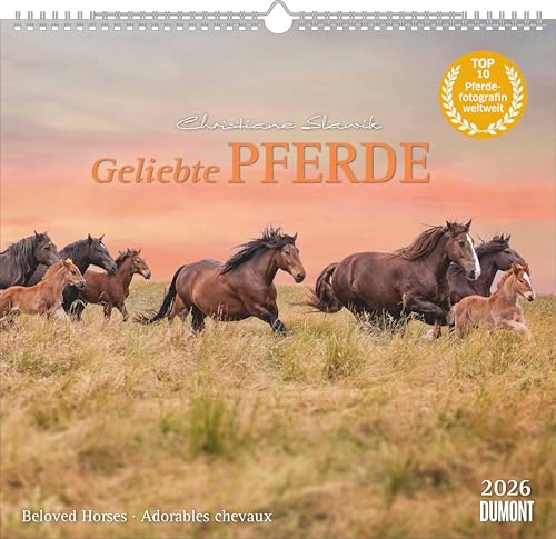 Geliebte Pferde 2026 – DUMONT-Wandkalender – Pferdefotografie von Christiane Slawik Format – 38,0 x 35,5 cm: Beloved Horses - Adorables chevaux von Dumont
