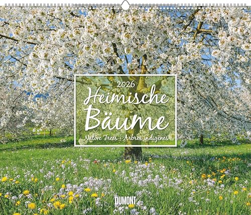 Heimische Bäume 2026 – Wandkalender 60x50 cm – Spiralbindung: Native Trees, Arbres indigènes von Dumont