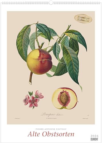 Pierre Antoine Poiteau: Alte Obstsorten 2026 – DUMONT Kunst-Kalender – Poster-Format 50 x 70 cm von Dumont