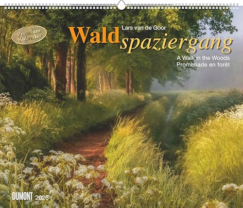 Waldspaziergang 2026 – Fotokunst-Kalender – Querformat 60 x 50 cm – Spiralbindung: A walk in the Woods Promenade en foret Waldspaziergang 2026 – Fotokunst-Kalender – Querformat 60 x 50 cm – Spiralbindung: A walk in the Woods Promenade en foret von DUMONT