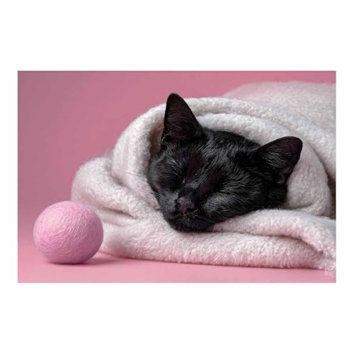 DunPei Leinwandbild Vintage Style Kunstdruck Bequeme Katze Perfekte Dekoration für Wohnzimmer Schlafzimmer Bad Küche Büro(Rosa29)-60x90cm Ungerahmt von DunPei