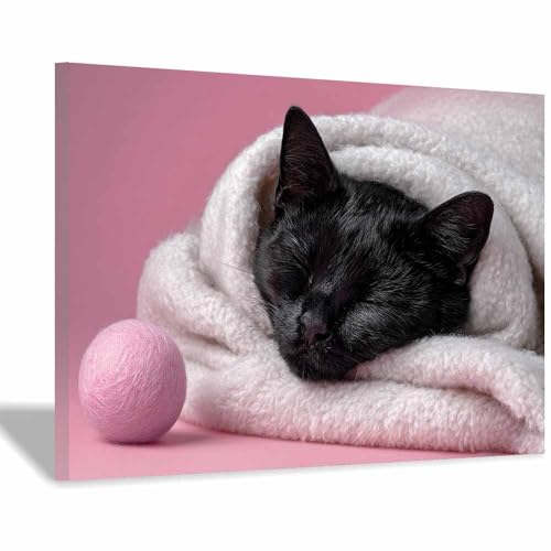 DunPei Leinwandbild Vintage Style Kunstdruck Bequeme Katze Perfekte Dekoration für Wohnzimmer Schlafzimmer Bad Küche Büro(Rosa29)-70x100cm Gerahmt von DunPei