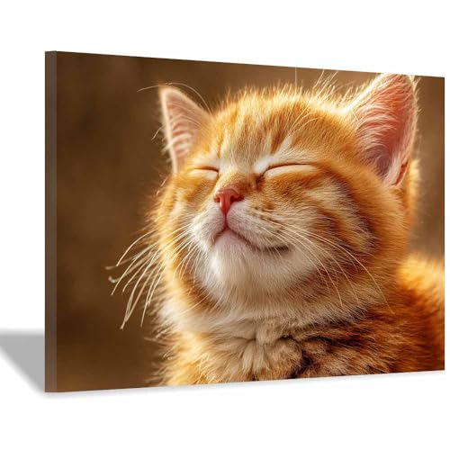 DunPei Leinwandbild Vintage Style Kunstdruck Eine intime Katze Perfekte Dekoration für Wohnzimmer Schlafzimmer Bad Küche Büro(Braun64)-70x100cm Gerahmt von DunPei