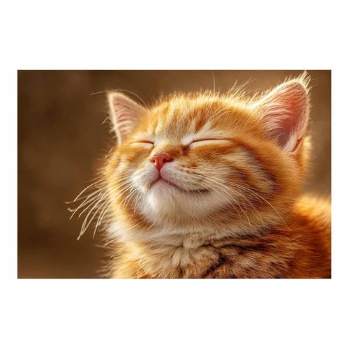 DunPei Leinwandbild Vintage Style Kunstdruck Eine intime Katze Perfekte Dekoration für Wohnzimmer Schlafzimmer Bad Küche Büro(Braun64)-70x100cm Ungerahmt von DunPei