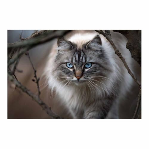 DunPei Leinwandbild Vintage Style Kunstdruck Süße Katze Perfekte Dekoration für Wohnzimmer Schlafzimmer Bad Küche Büro(Braun71)-50x70cm Ungerahmt von DunPei