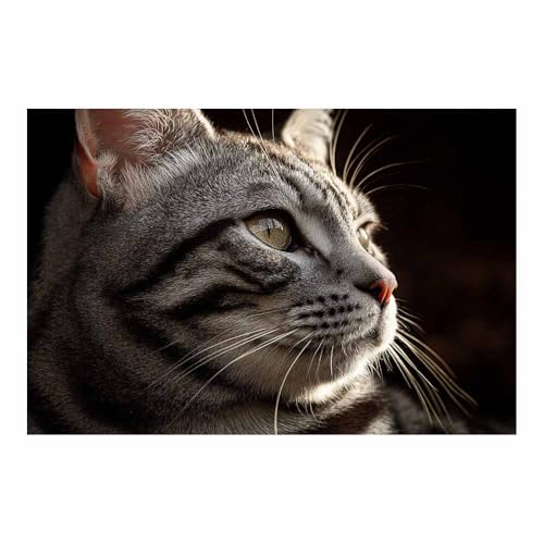 DunPei Wandkunst auf Leinwand mit Tiermotiv Bequeme Katze Poster an der Wand sind auch ideale Geschenke für Familie Paare(Grau51)-30x45cm Ungerahmt von DunPei