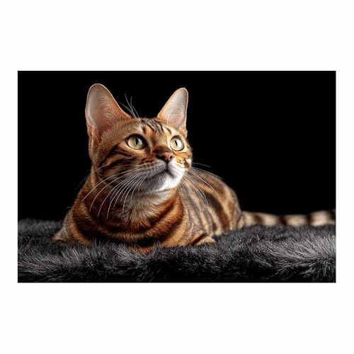 DunPei Wandkunst auf Leinwand mit Tiermotiv Eine intime Katze Poster an der Wand sind auch ideale Geschenke für Familie Paare(Braun09)-50x70cm Ungerahmt von DunPei