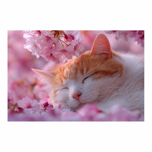 DunPei Wandkunst auf Leinwand mit Tiermotiv Schnelle Katze Poster an der Wand sind auch ideale Geschenke für Familie Paare(Rosa121)-70x100cm Ungerahmt von DunPei