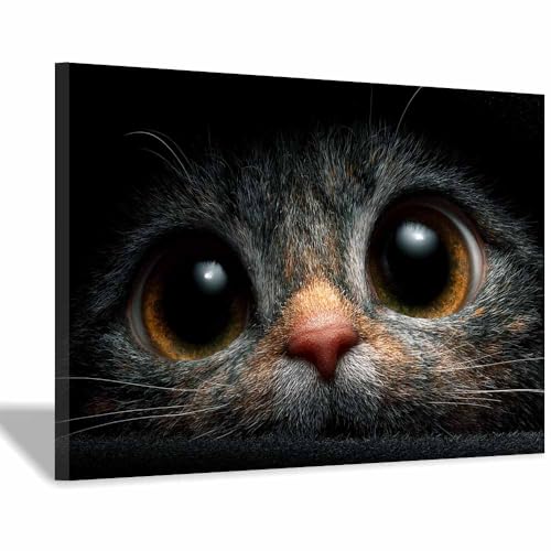 DunPei Wandkunst auf Leinwand mit Tiermotiv Schnelle Katze Poster an der Wand sind auch ideale Geschenke für Familie Paare(schwarz02)-50x70cm Gerahmt von DunPei