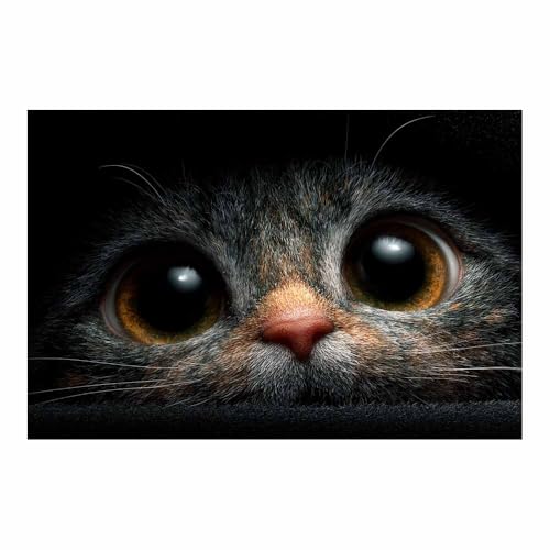 DunPei Wandkunst auf Leinwand mit Tiermotiv Schnelle Katze Poster an der Wand sind auch ideale Geschenke für Familie Paare(schwarz02)-80x120cm Ungerahmt von DunPei