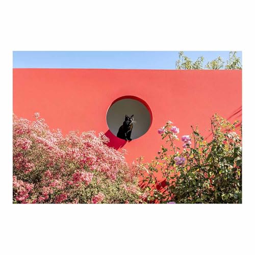 DunPei Wandkunst auf Leinwand mit Tiermotiv Süße Katze Poster an der Wand sind auch ideale Geschenke für Familie Paare(Rosa184)-30x45cm Ungerahmt von DunPei