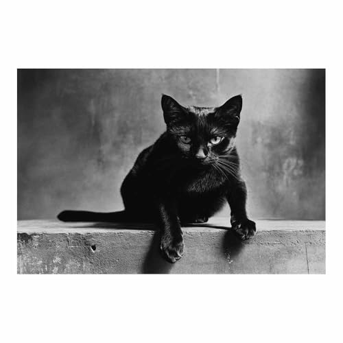 DunPei Wandkunst auf Leinwand mit Tiermotiv Süße Katze Poster an der Wand sind auch ideale Geschenke für Familie Paare(schwarz107)-70x100cm Ungerahmt von DunPei