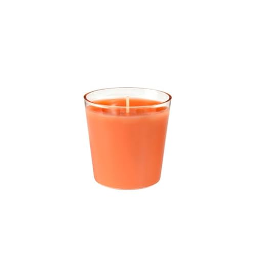 30x Duni Switch & Shine Nachfüller für Kerzenglas 65 x Ø 65 mm 30 Std. Sun Orange Paraffin mit Kerzenhalter aus Kunststoff von Duni
