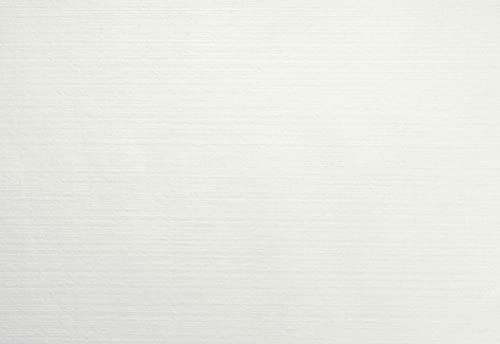 Duni Duni Evolin-Tischsets weiß 30 x 43,5 cm 70 Stück von Duni