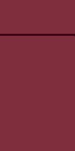 Duni Duniletto Slim Uni bordeaux, 40 x 33 cm, 65 Stück Duni Duniletto Slim Uni bordeaux, 40 x 33 cm, 65 Stück von Duni