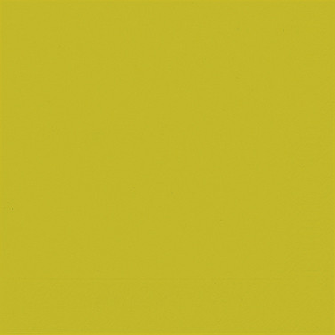 Duni Servietten Bio kiwi 33 x 33 cm - 50er Pack von Duni