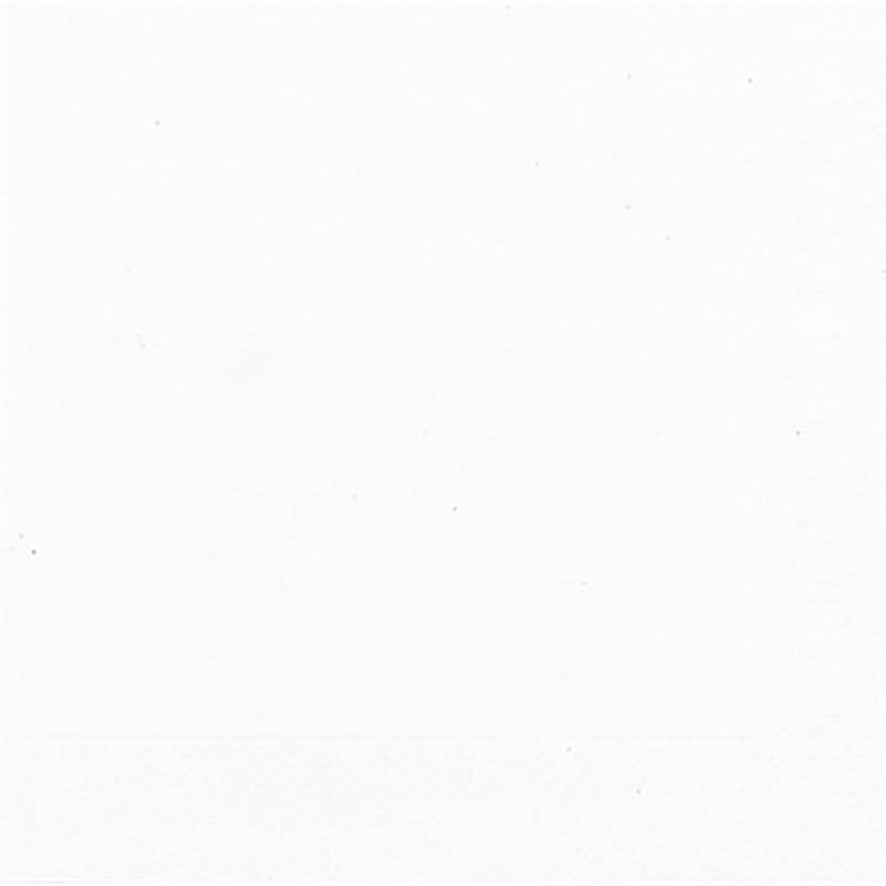 Duni Servietten Bio weiß 33 x 33 cm - 50er Pack von Duni