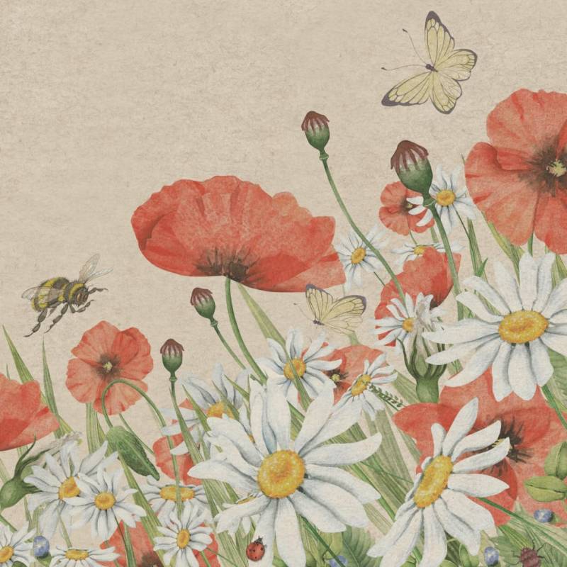 Duni Servietten Floral Poppy 33 x 33 cm - 25er Pack von Duni