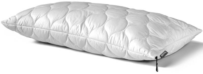 Dunlopillo Baumwollkissen Fusion 40x80 oder 80x80 cm, luftdurchlässig, Climate-Control-Bezug, Füllung: Polyester, Bezug: 100% Baumwolle, Bauchschläfer, Rückenschläfer, Seitenschläfer, Dunlofill® Helix-Micro-Faser, allergikerfreundlich, hohe Qualität von Dunlopillo